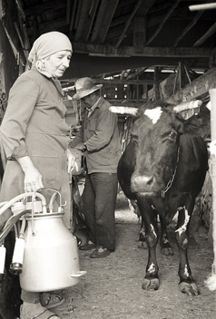 Bulgaria © Milena Novotny