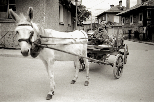 Bulgaria © Milena Novotny