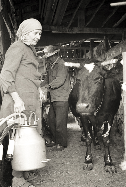 Bulgaria © Milena Novotny