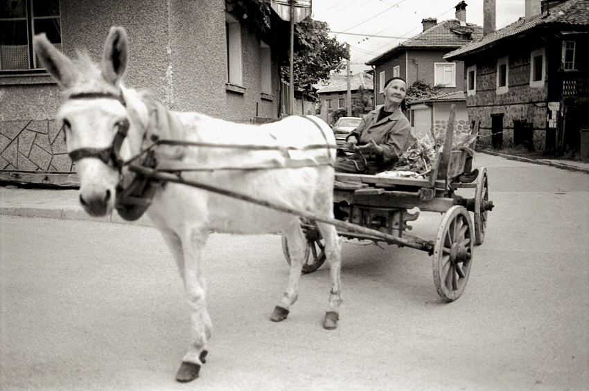 Bulgaria © Milena Novotny