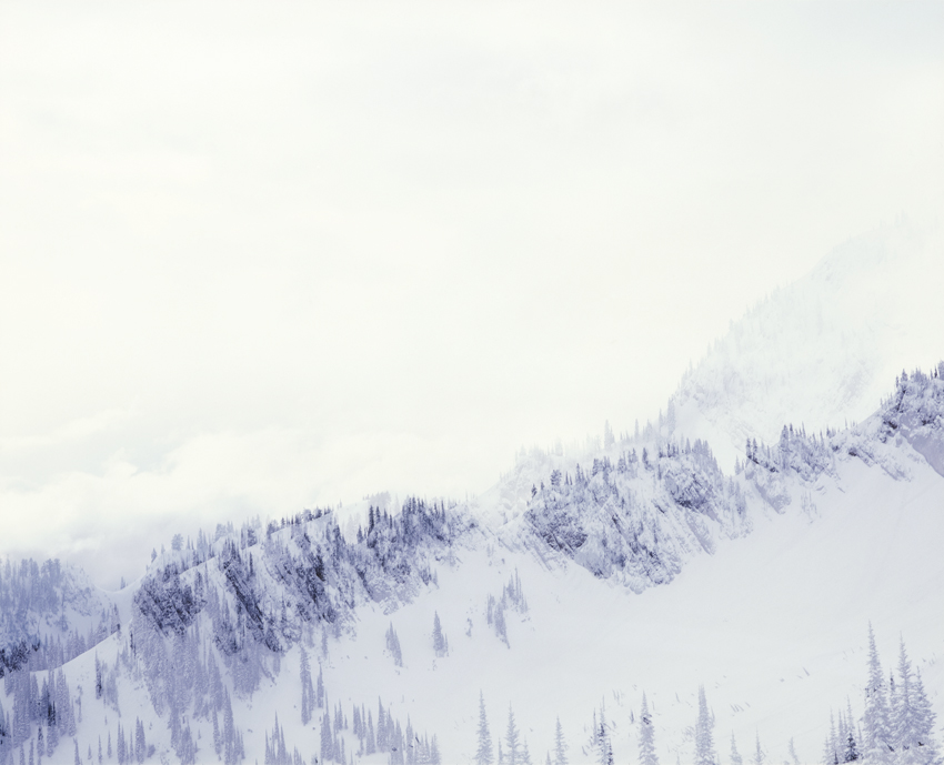 Transparenz © Milena Novotny