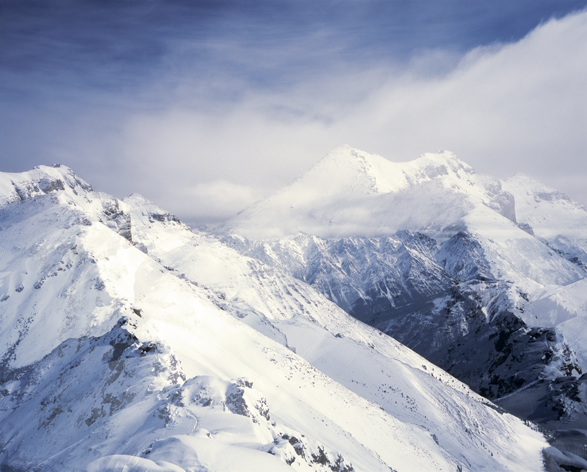 Transparenz © Milena Novotny