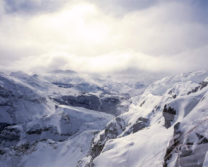 Transparenz © Milena Novotny