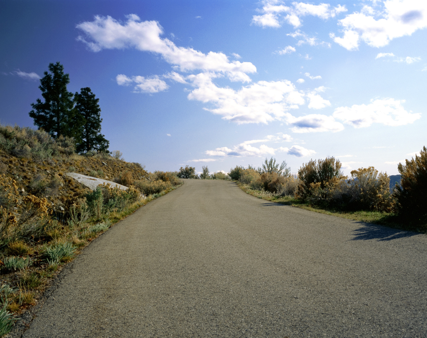 Roadtrip © Milena Novotny