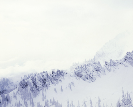 Transparenz © Milena Novotny