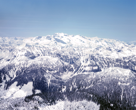 Transparenz © Milena Novotny