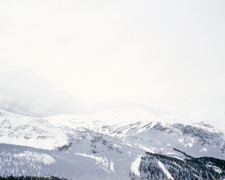 Transparenz © Milena Novotny