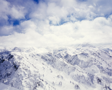 Transparenz © Milena Novotny